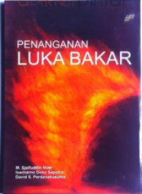 Image of Penanganan Luka Bakar